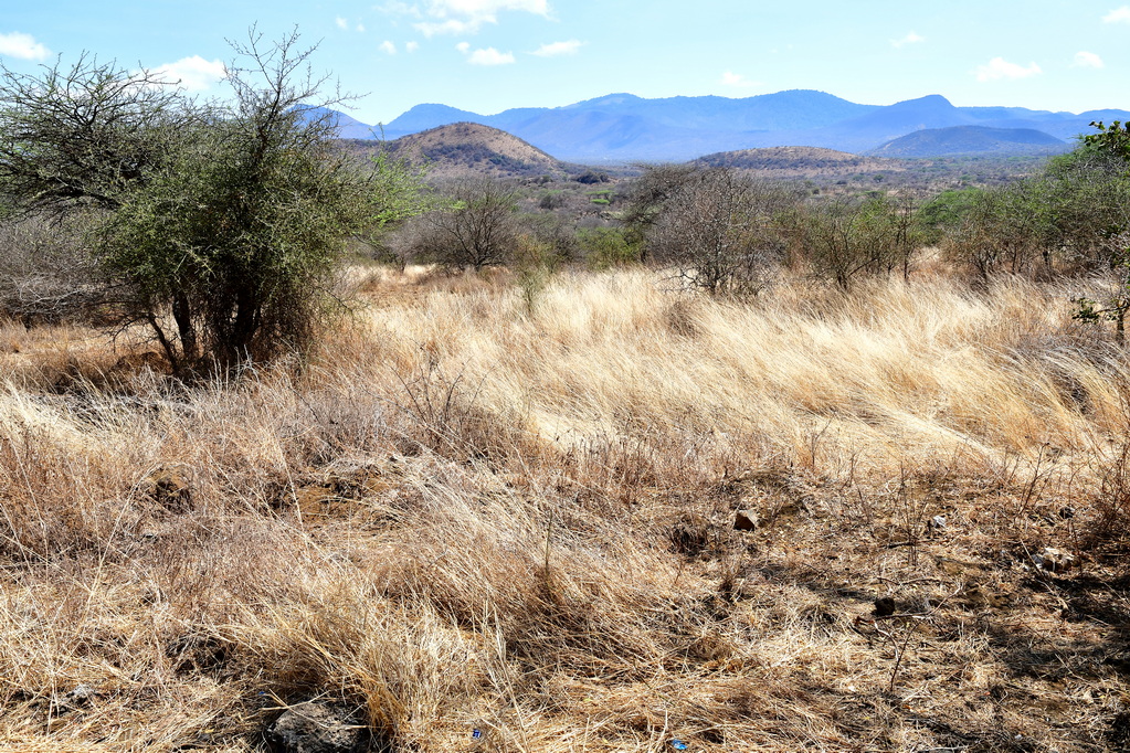 Tsavo West National Park